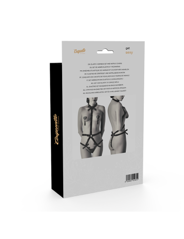 harnais de lingerie coquette avec protège-tétons de luxe_5