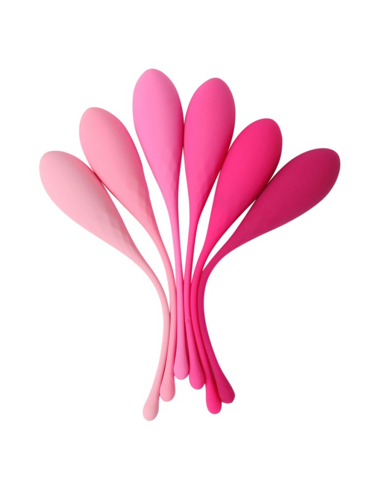 leslie kegel fit livraison du plancher pelvien 6pcs_9