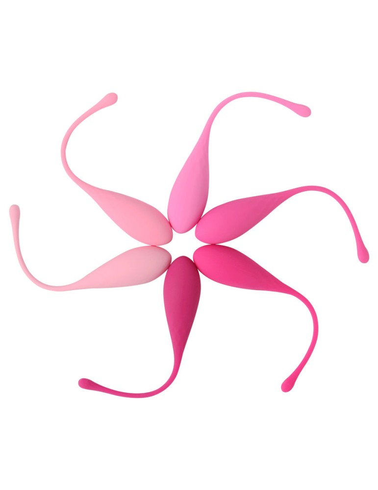 leslie kegel fit livraison du plancher pelvien 6pcs_10