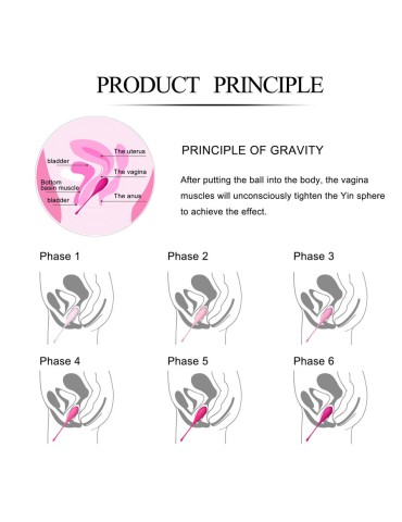 leslie kegel fit livraison du plancher pelvien 6pcs_13