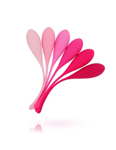 leslie kegel fit livraison du plancher pelvien 6pcs_16