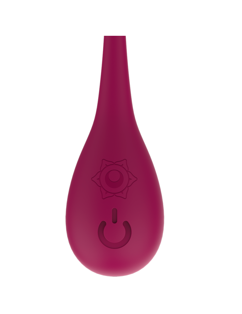 boules de kegel rechargeables rithual nisha orchidée vibrante_5