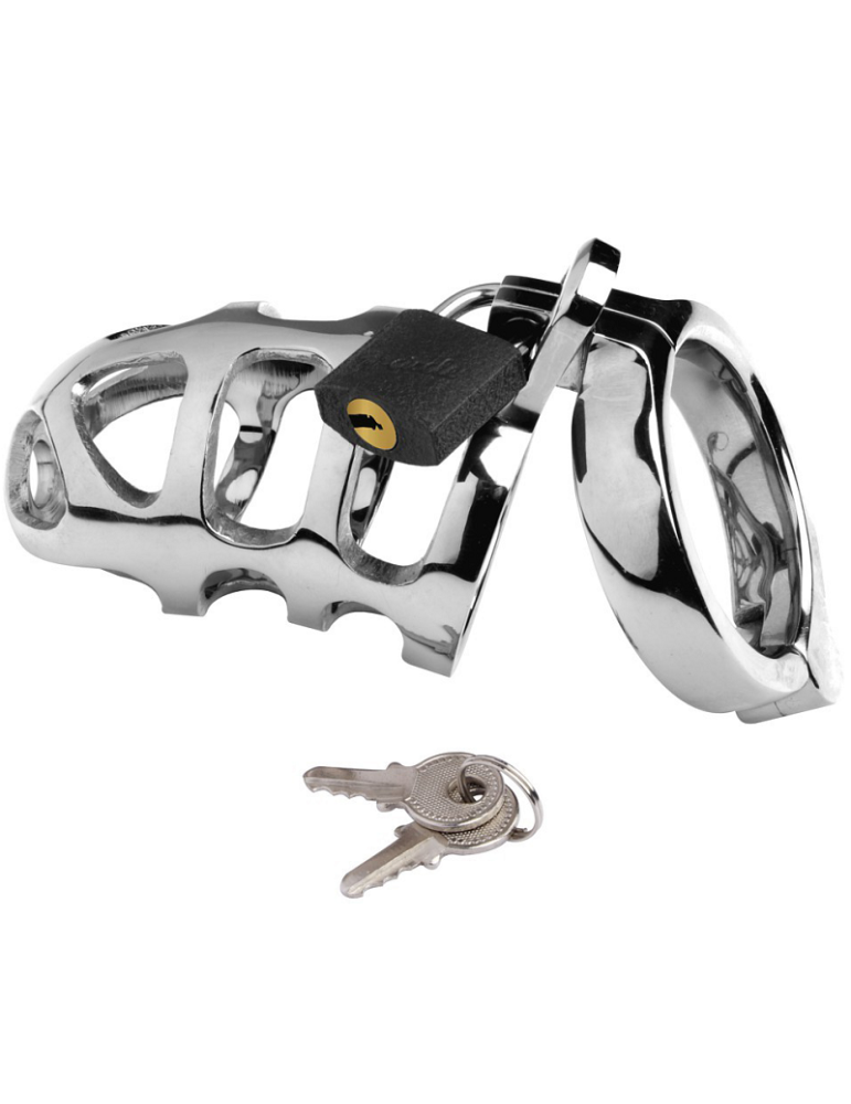 anneau de cage dure en métal cage en métal