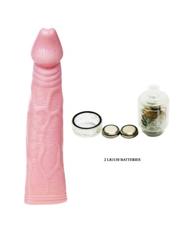 extension d'ambiance fantaisie baile + 33%_4