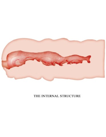 crazy bull - masturbateur vagin isabel 13,5 cm_4