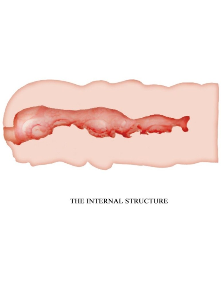 crazy bull - masturbateur vagin isabel 13,5 cm_4