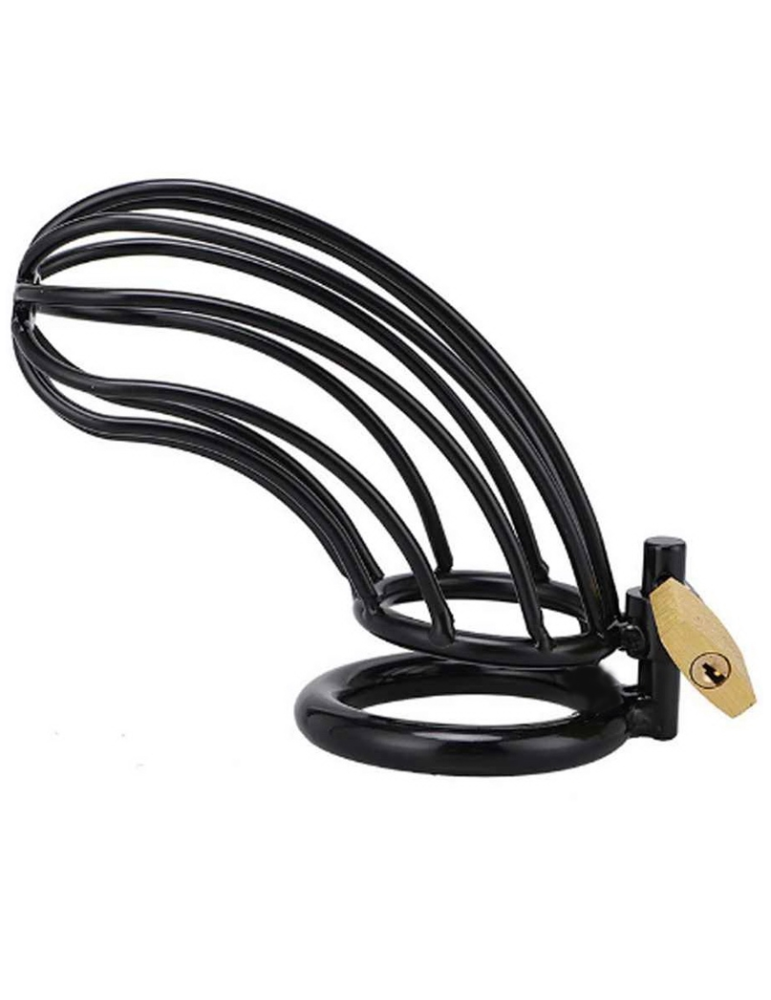 anneau de chasteté cage dure en métal oiseau noir