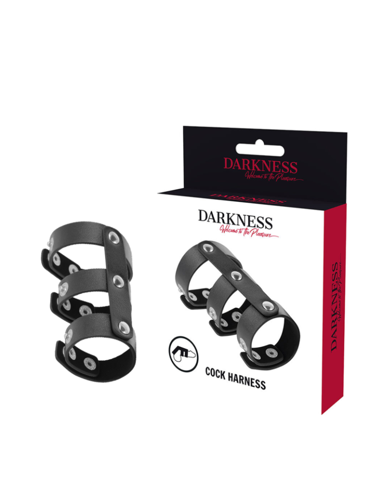 pénis et testicules à double anneau noir en cuir réglable