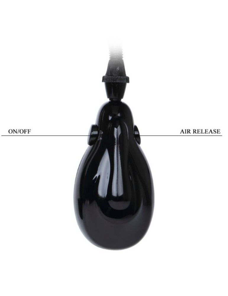 pompe de montage automatique avec manomètre_5