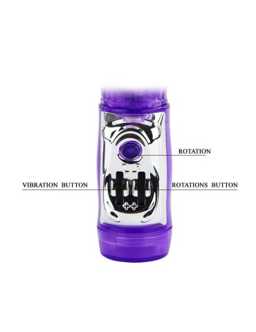 ly-baile nous élite persane lapin_9