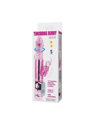 ly-baile nous lapin lapin palpitant_10