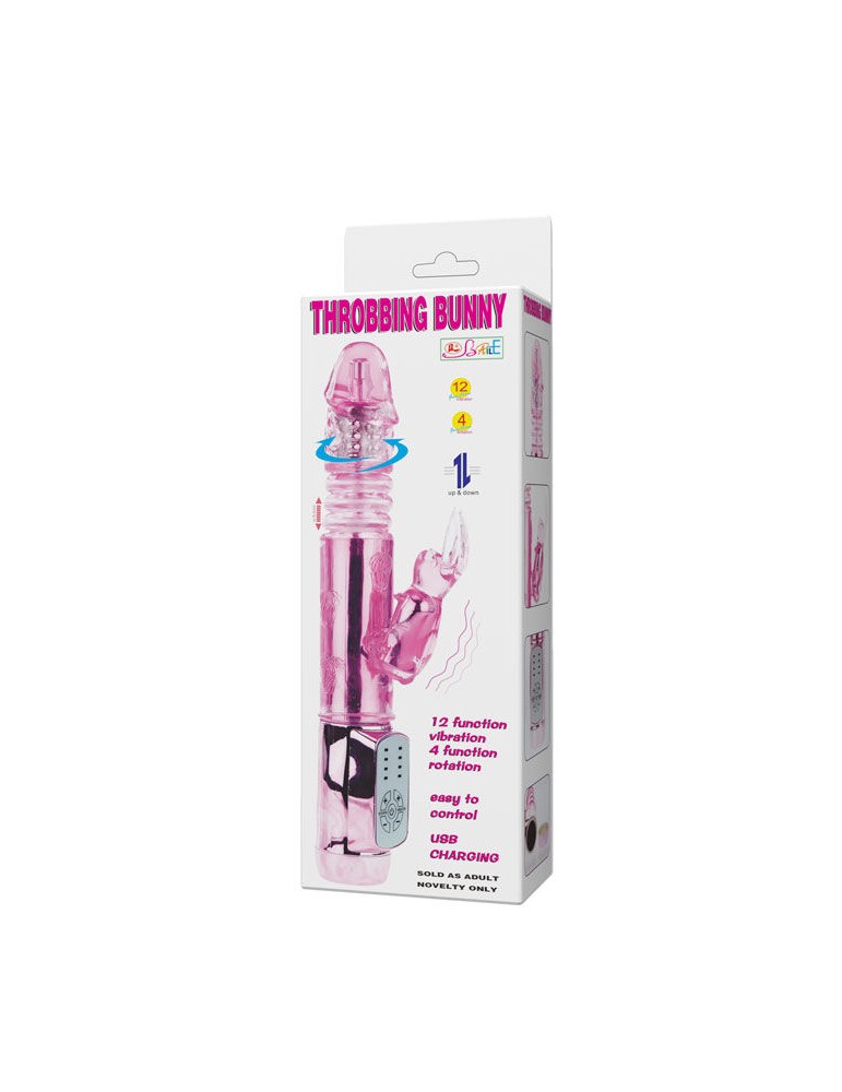 ly-baile nous lapin lapin palpitant_10