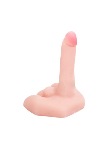 dance mr gros pénis réaliste et masturbateur anus._3