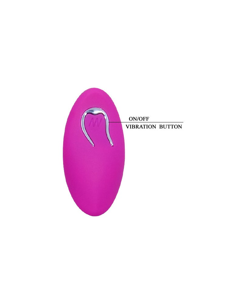 jolie télécommande oeuf berger 12v_7