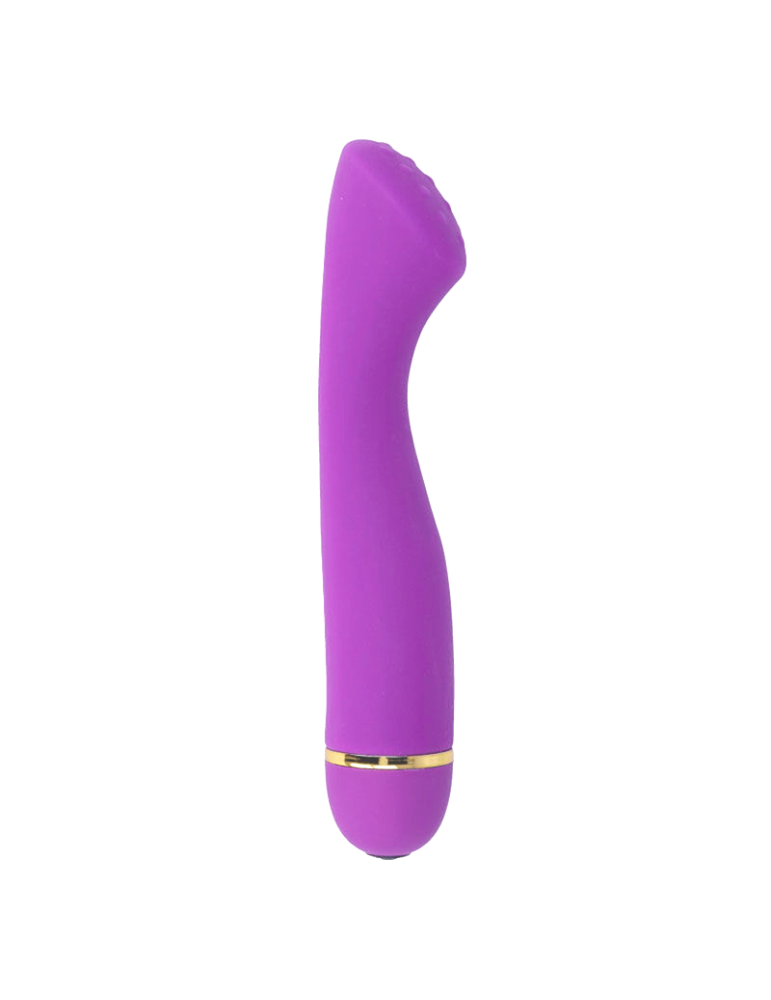 lilo intense 20 vitesses silicone lilas_3