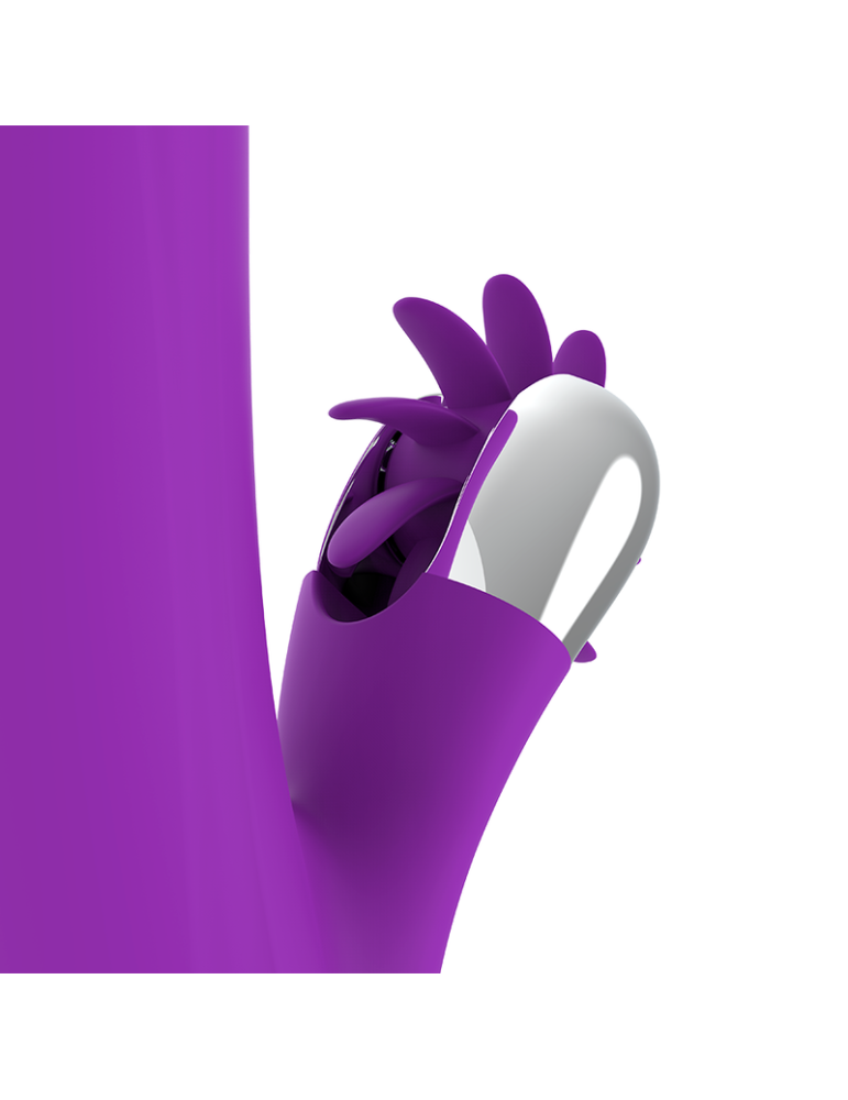 fonction amusante lapin drôle de rotation_8