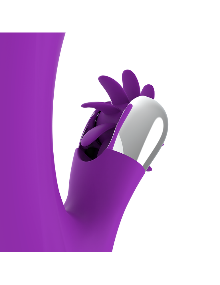 fonction amusante lapin drôle vague_8