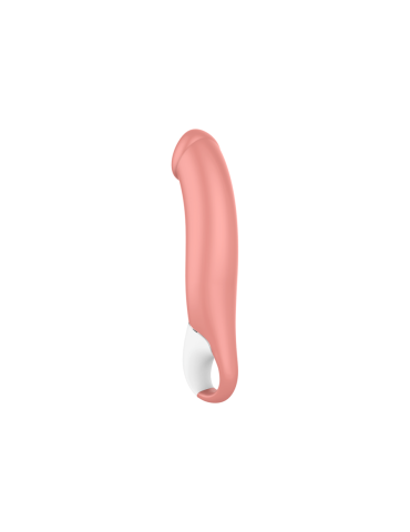 maître de vibe satisfyer_6