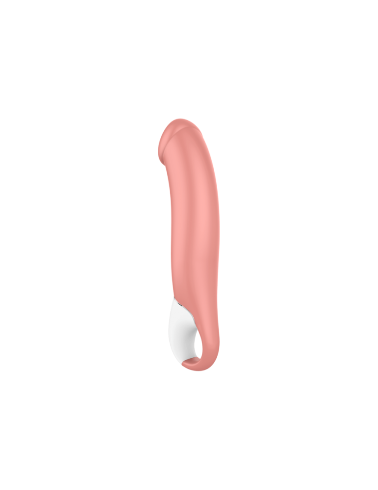 maître de vibe satisfyer_6