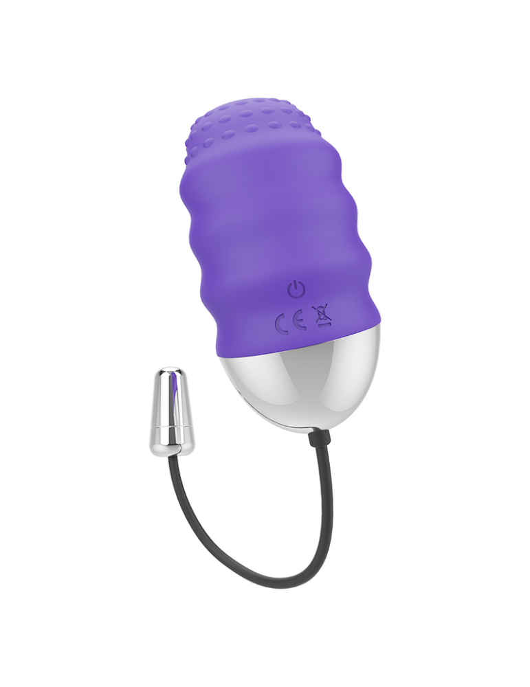 télécommande mr boss denis egg_4