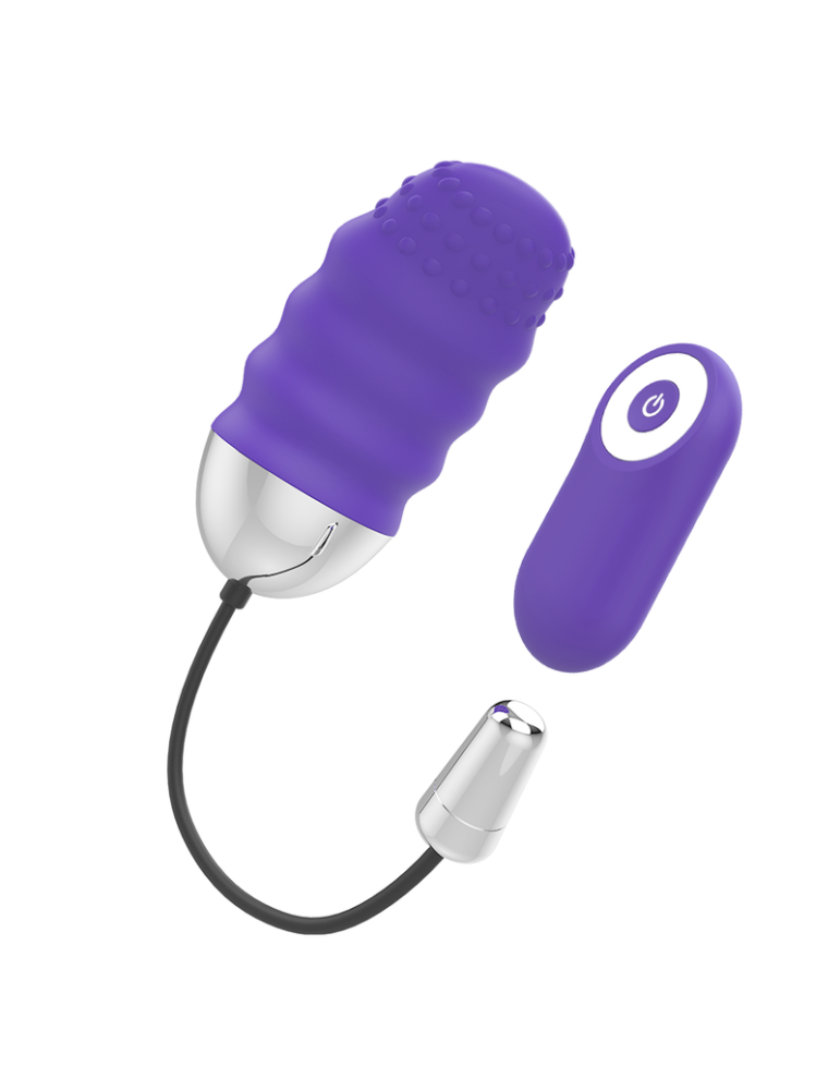 télécommande mr boss denis egg_5