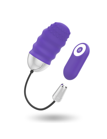 télécommande mr boss denis egg_6