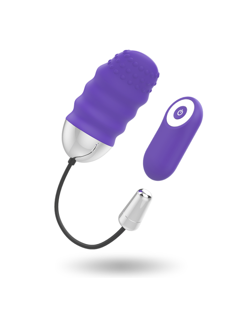 télécommande mr boss denis egg_6