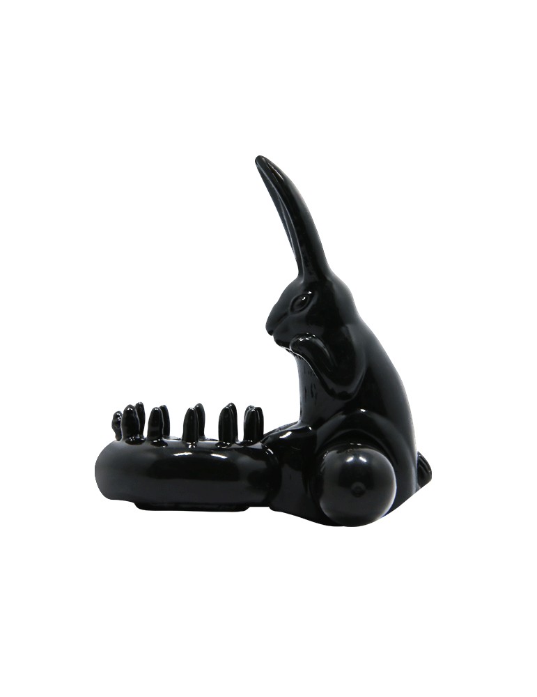 anneau baile douce avec lapin_3