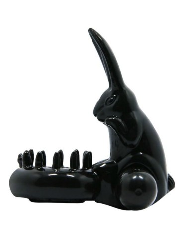 anneau baile douce avec lapin_7