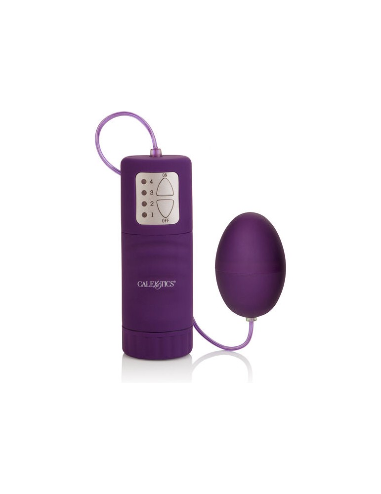 oeuf vibrant violet de poche calex 4v
