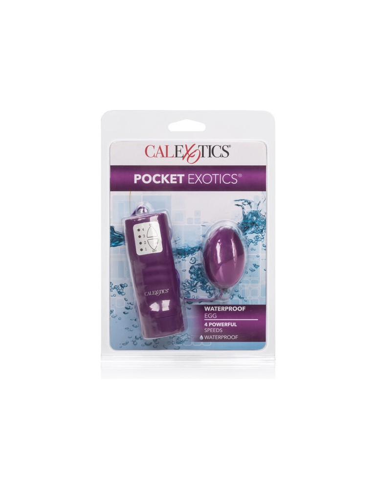 oeuf vibrant violet de poche calex 4v_2