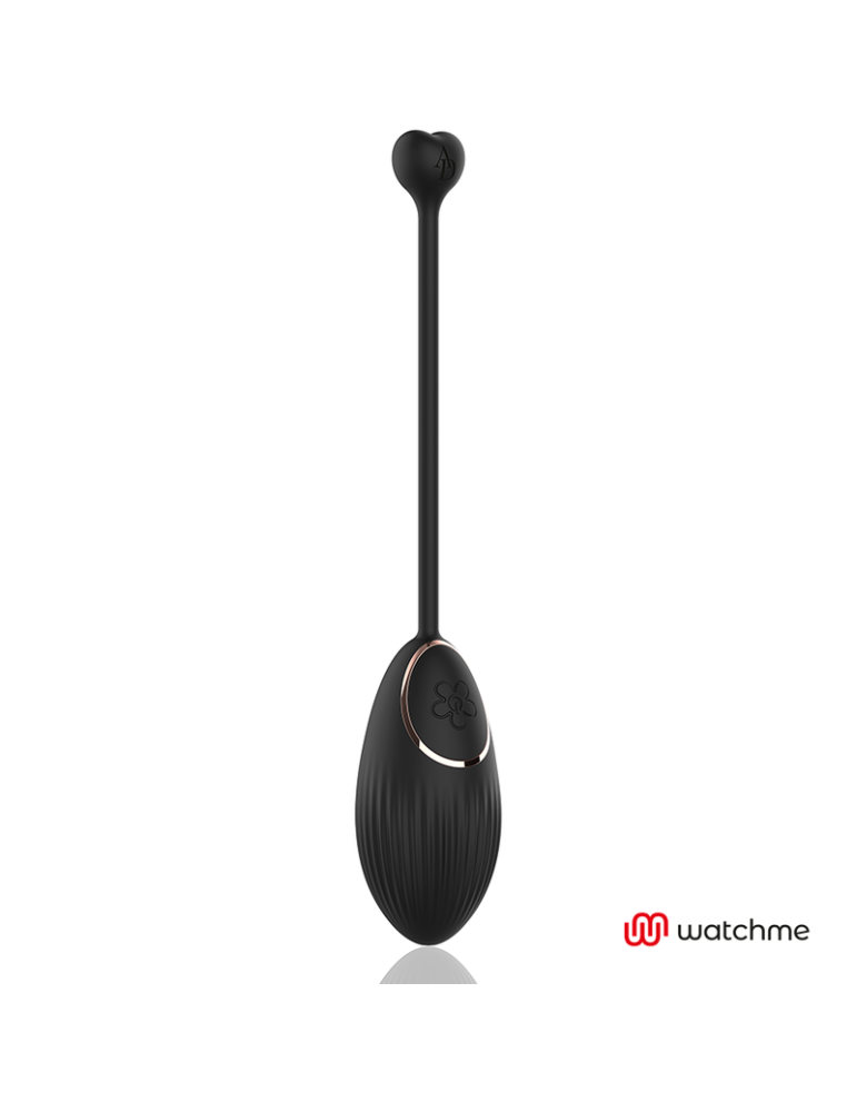 technologie de télécommande œuf anne's desire watchme noir_5