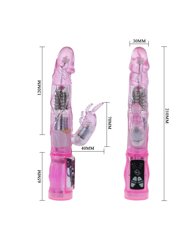 amoureux intime de mini lapin lilas_4