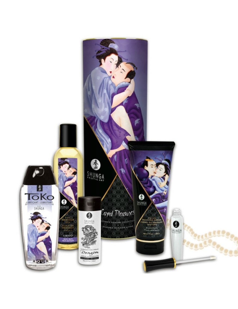 collection de plaisirs charnels shunga