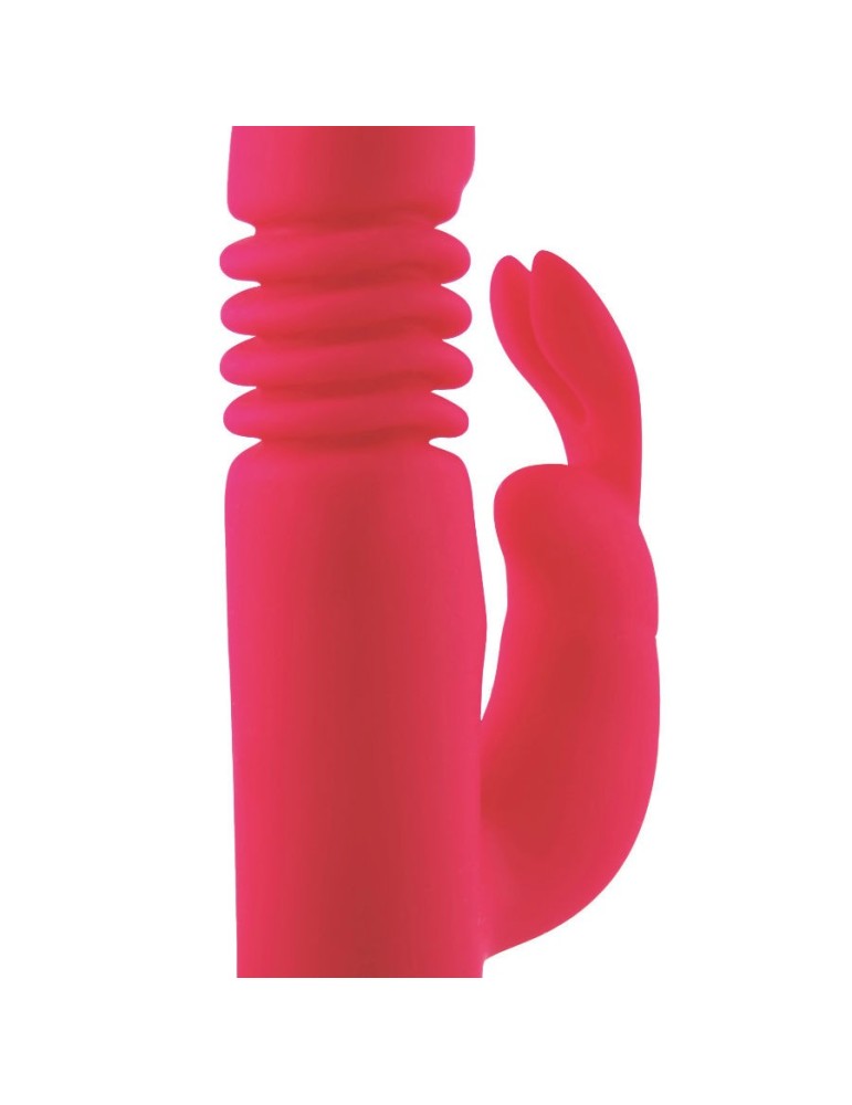 trésor missouri silicone rose_8