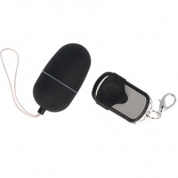 télécommande oeuf brillant ii 10v noir_4