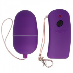 télécommande oeuf vibrant esprit lilas_2
