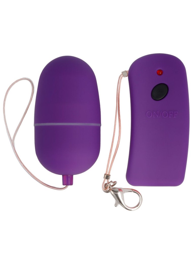 télécommande oeuf vibrant esprit lilas_2