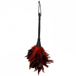 fétiche fantaisie série plumes massage rouge_3