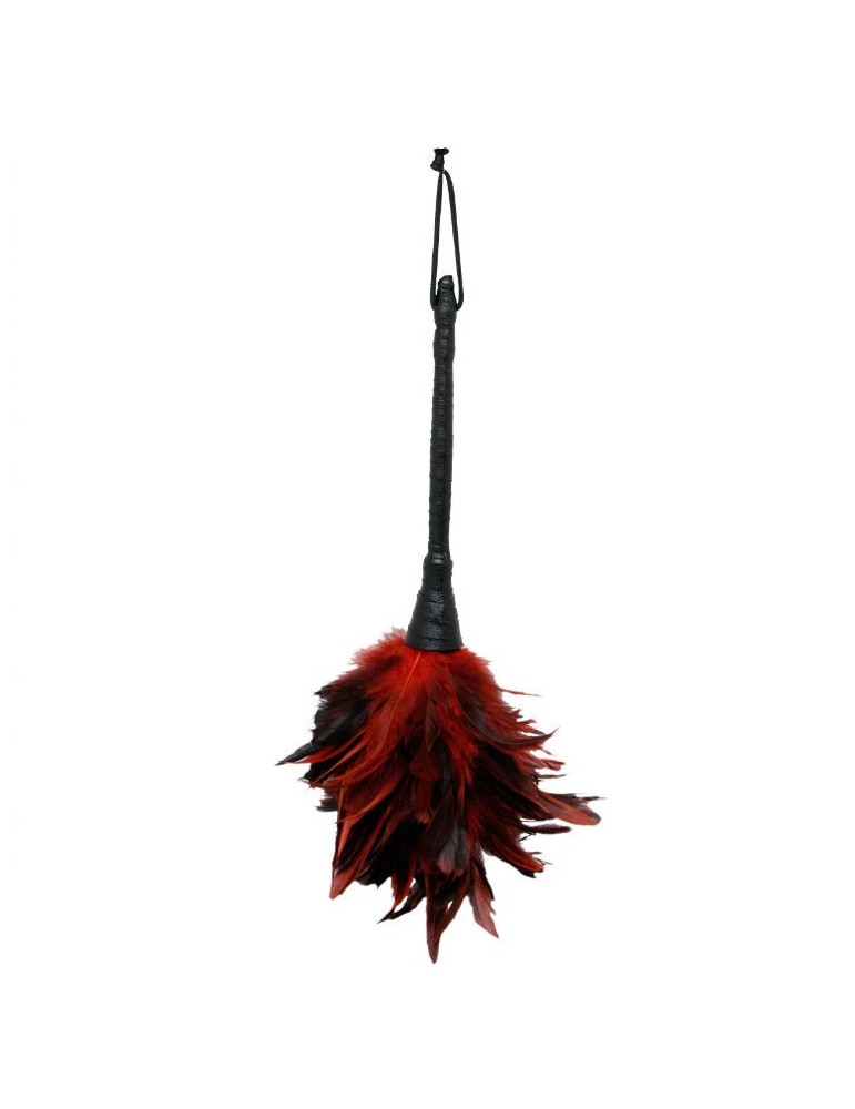 fétiche fantaisie série plumes massage rouge_3