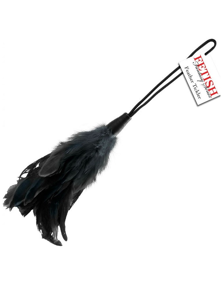 fétiche série fantastique plume noire