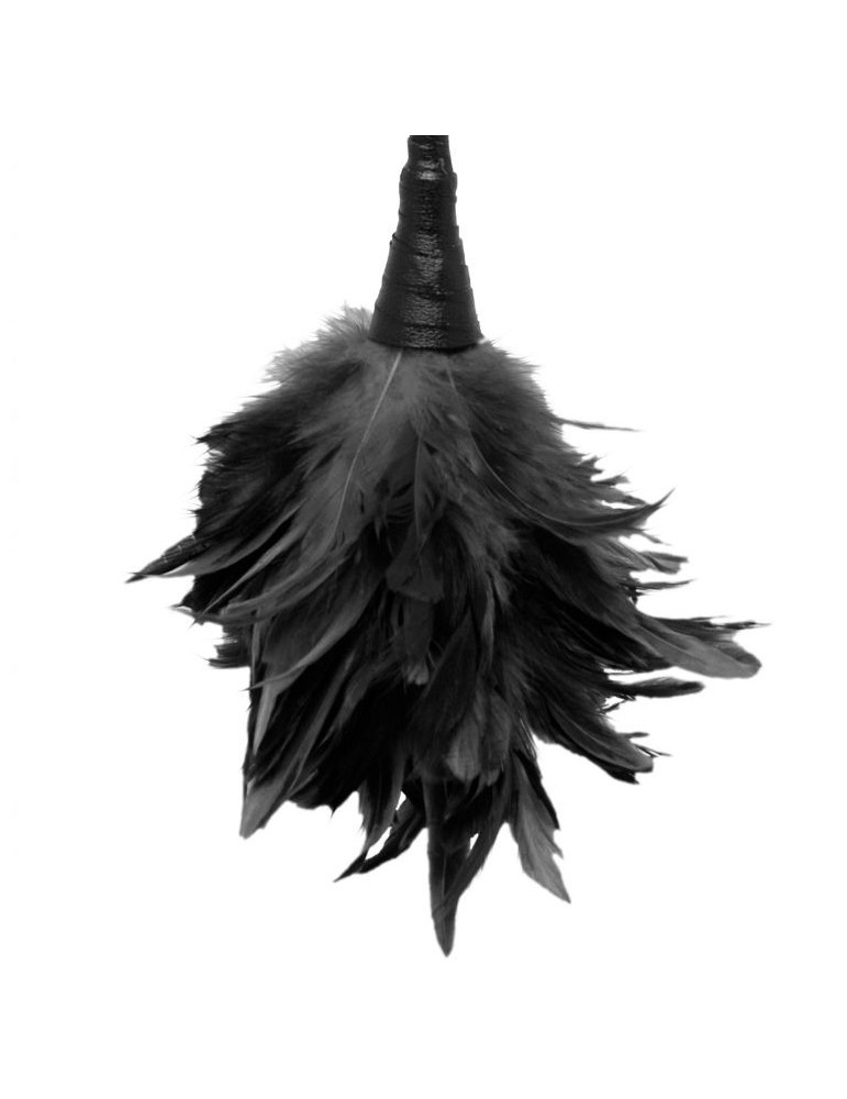 fétichisme série fantastique plumes massage noir_4