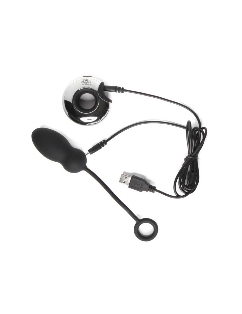 télécommande de cinquante nuances d'oeuf gris_3