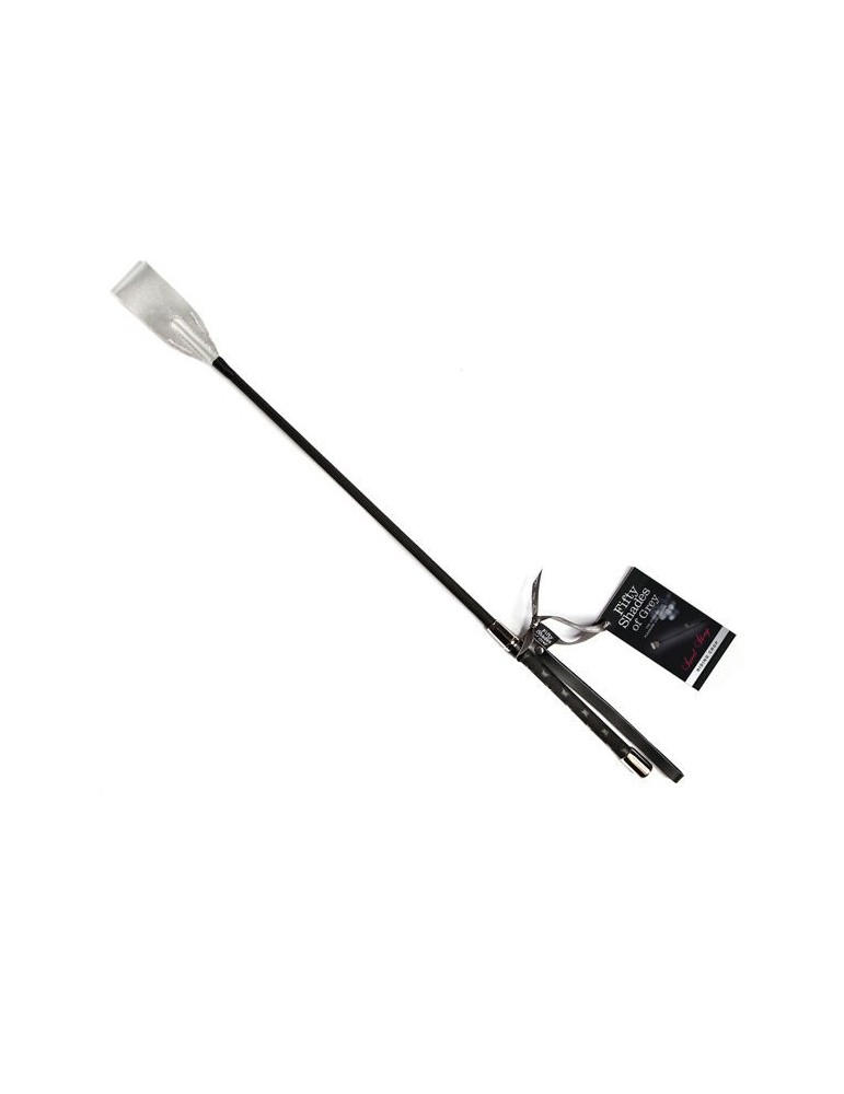 cinquante nuances de cravache grise_4