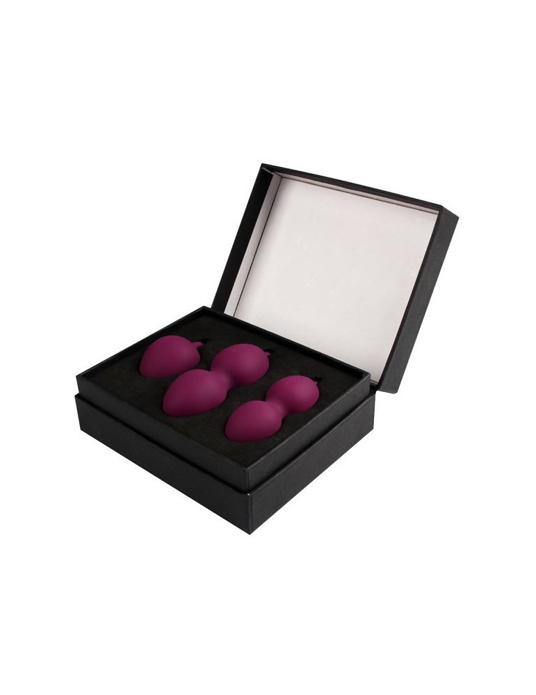 svakom nova kegel boules lilas_2