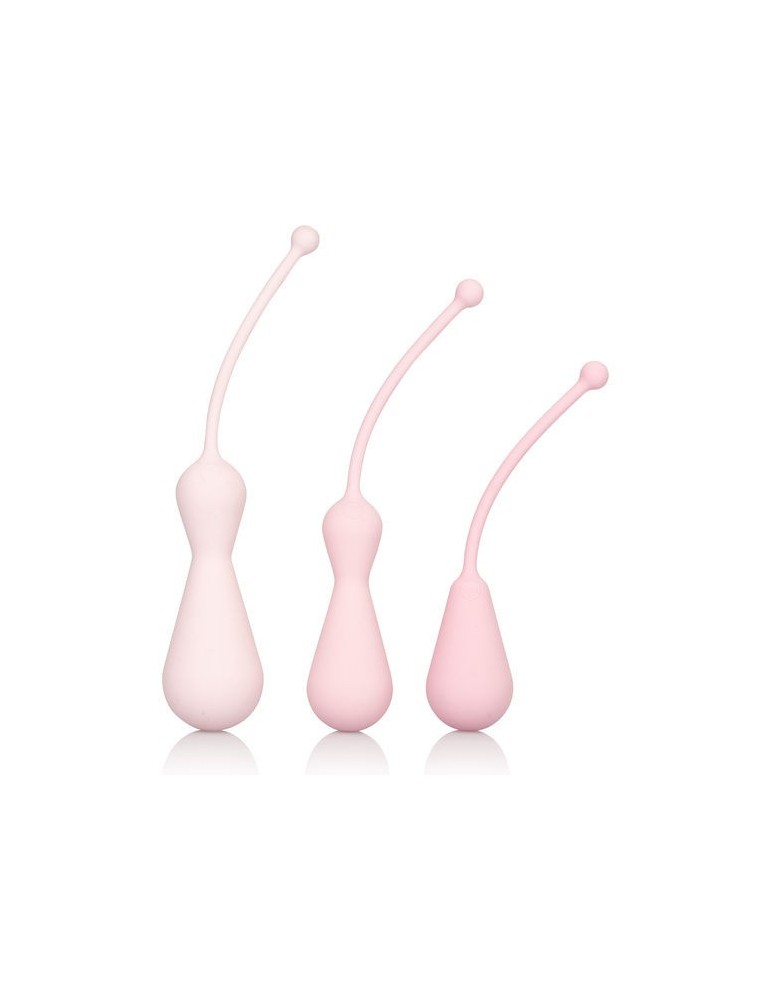 kit de formation kegel lesté inspire