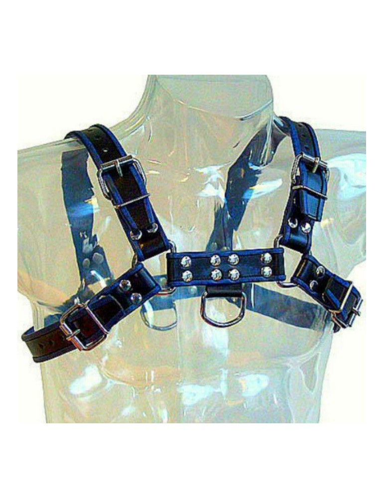 harnais dur en métal bouledogue poitrine en cuir bleu et noir_2