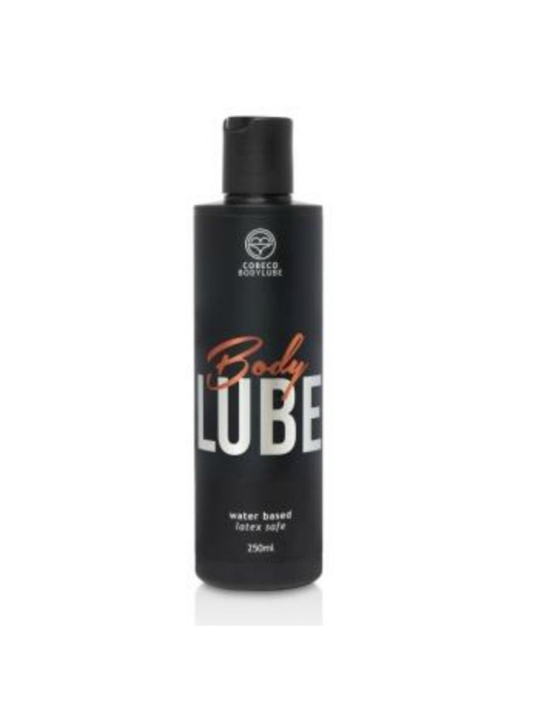 bodylube body lube lubrifiant à base d'eau sans danger pour le latex 250 ml
