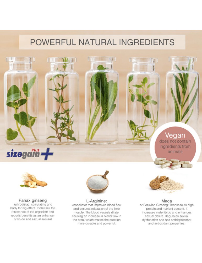 sizegain plus pilules d'agrandissement du pénis_2
