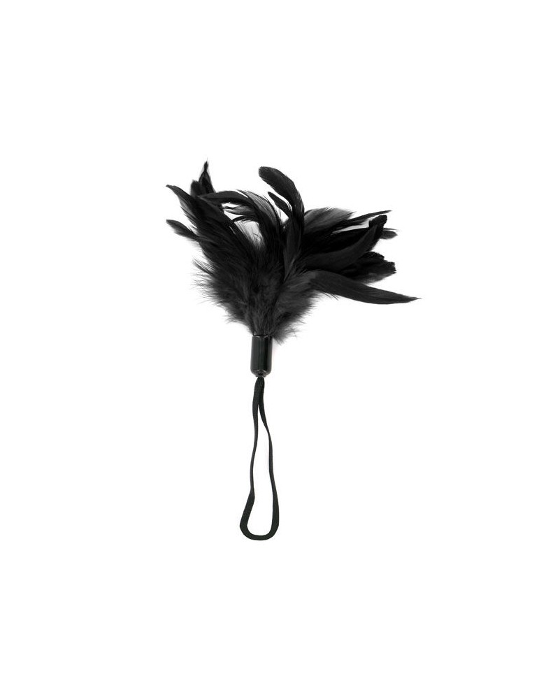 plume de plaisir noir sportsheets